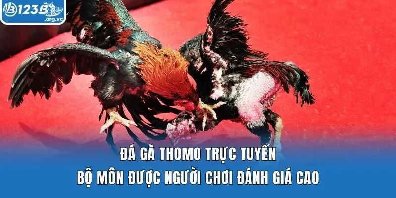 Đá Gà Thomo Trực Tuyến Bộ Môn Được Người Chơi Đánh Giá Cao