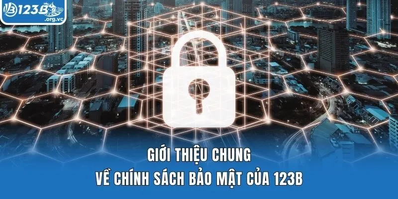 Giới thiệu chung về chính sách bảo mật của 123b