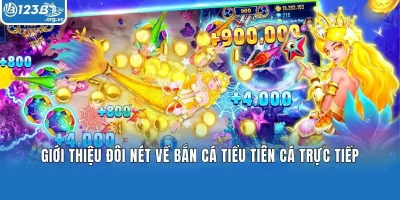 Giới thiệu đôi nét về bắn cá tiểu tiên cá trực tiếp