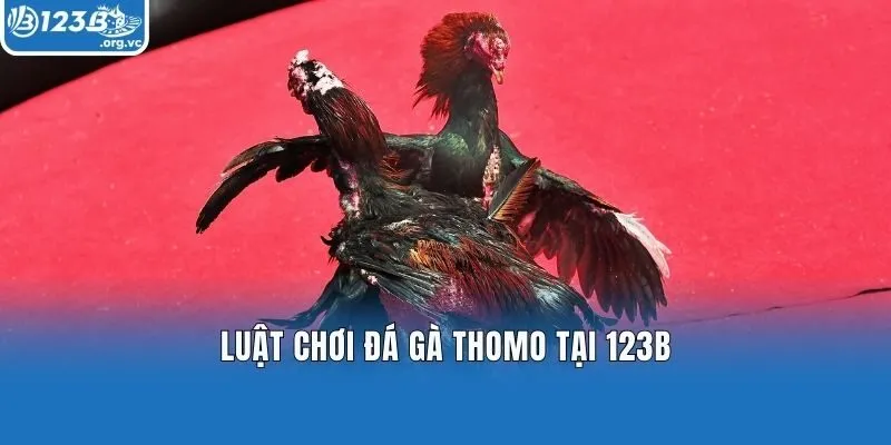 Luật chơi đá gà Thomo tại 123b