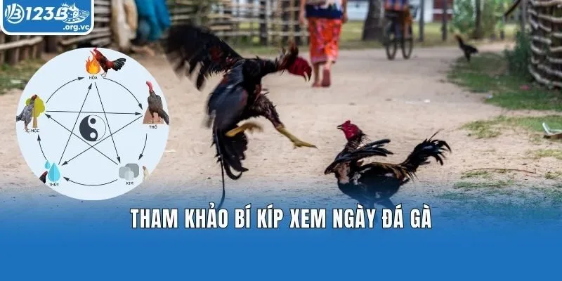 Tham khảo bí kíp xem ngày đá gà